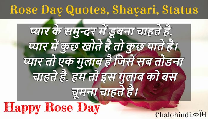 Rose Day Quotes in Hindi