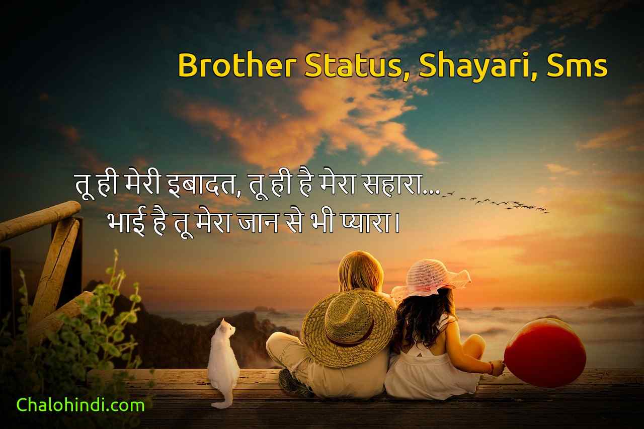 Bhai Status in Hindi | 21 Unique Brother Status in Hindi Attitude