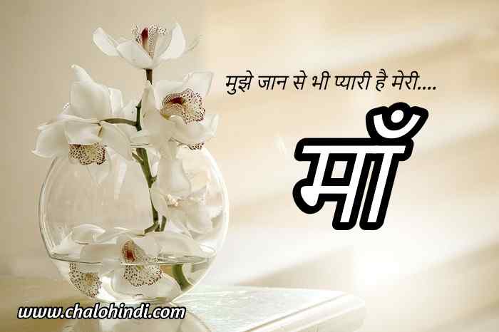 Heart Touching Lines on Mother in Hindi