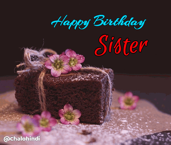 45 Best Birthday Wishes Status for Sister in Hindi with Images 2021
