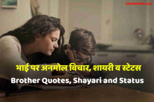 brother quotes in hindi