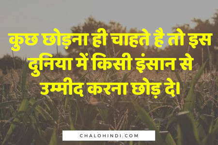 new hindi quotes