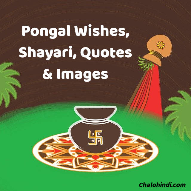 Happy Pongal Wishes, Quotes, Shayari, Status with Images