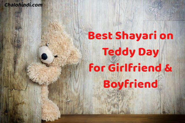 Best 2021 Teddy Day Shayari in Hindi for Girlfriend with Photos