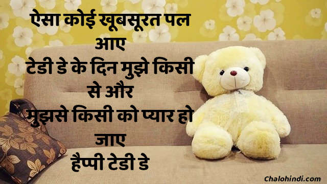 hindi status on teddy day