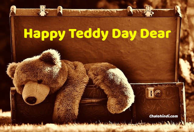 Teddy Day Status in Hindi for Whatsapp